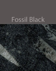fossil black