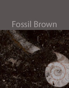 fossil brown